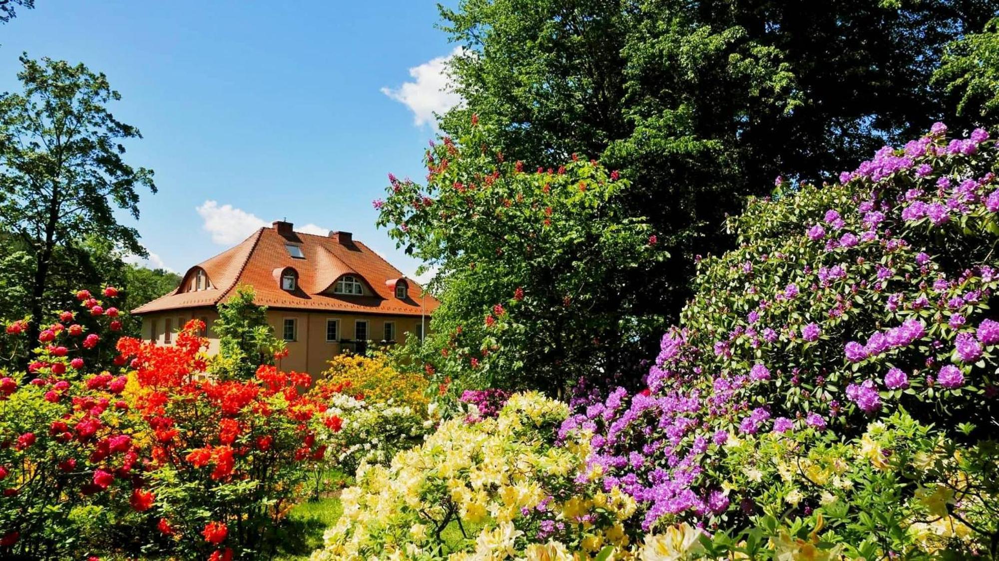 Rezydencja Grawert Boutique & Spa Льондек-Здруй Екстер'єр фото